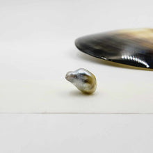 Load image into Gallery viewer, Civa Fiji Loose Keshi Pearl - FJD$