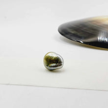 Load image into Gallery viewer, Civa Fiji Loose Keshi Pearl - FJD$