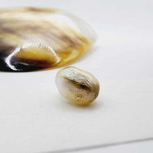 Load image into Gallery viewer, Civa Fiji Loose Keshi Pearl - FJD$
