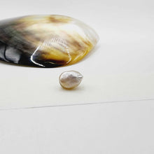 Load image into Gallery viewer, Civa Fiji Loose Keshi Pearl - FJD$