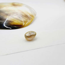 Load image into Gallery viewer, Civa Fiji Loose Keshi Pearl - FJD$