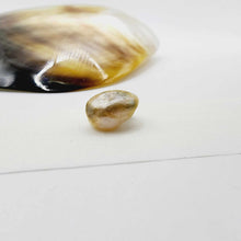 Load image into Gallery viewer, Civa Fiji Loose Keshi Pearl - FJD$