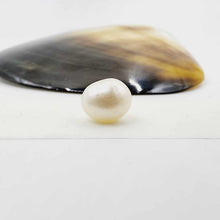 Load image into Gallery viewer, Civa Fiji Loose Pearl - FJD$