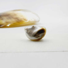 Load image into Gallery viewer, Civa Fiji Loose Pearl - FJD$