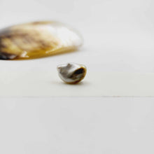 Load image into Gallery viewer, Civa Fiji Loose Pearl - FJD$