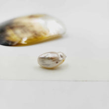 Load image into Gallery viewer, Civa Fiji Loose Pearl - FJD$