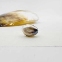 Load image into Gallery viewer, Civa Fiji Loose Pearl - FJD$