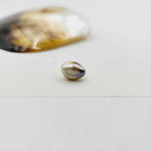 Load image into Gallery viewer, Civa Fiji Loose Pearl - FJD$