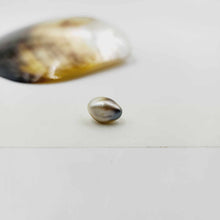 Load image into Gallery viewer, Civa Fiji Loose Pearl - FJD$