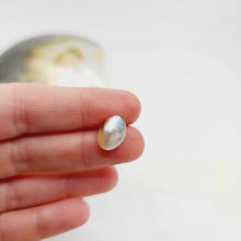 Load image into Gallery viewer, Civa Fiji Loose Pearl - FJD$