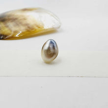 Load image into Gallery viewer, Civa Fiji Loose Pearl - FJD$