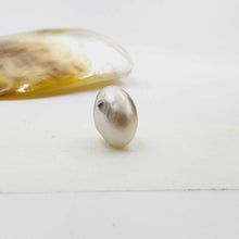 Load image into Gallery viewer, Civa Fiji Loose Pearl - FJD$