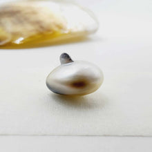 Load image into Gallery viewer, Civa Fiji Loose Pearl - FJD$