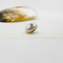 Load image into Gallery viewer, Civa Fiji Loose Pearl - FJD$