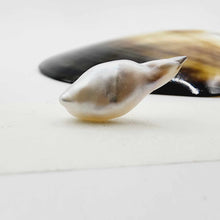 Load image into Gallery viewer, Civa Fiji Loose Pearl - FJD$