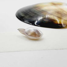 Load image into Gallery viewer, Civa Fiji Loose Pearl - FJD$