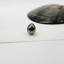 Load image into Gallery viewer, Civa Fiji Loose Saltwater Pearl - FJD$