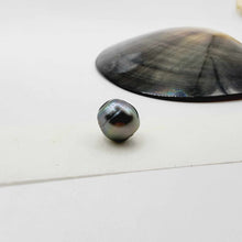 Load image into Gallery viewer, Civa Fiji Loose Saltwater Pearl - FJD$