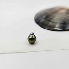 Load image into Gallery viewer, Civa Fiji Loose Saltwater Pearl - FJD$