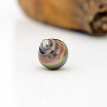 Load image into Gallery viewer, Civa Fiji Loose Saltwater Pearl - FJD$