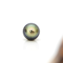 Load image into Gallery viewer, Civa Fiji Loose Saltwater Pearl - FJD$