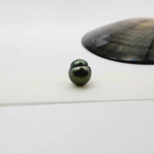 Load image into Gallery viewer, Civa Fiji Loose Saltwater Pearl - FJD$