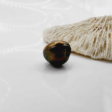 Load image into Gallery viewer, Civa Fiji Loose Saltwater Pearl - FJD$