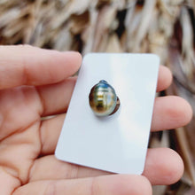 Load image into Gallery viewer, Civa Fiji Loose Saltwater Pearl - FJD$