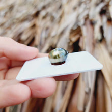 Load image into Gallery viewer, Civa Fiji Loose Saltwater Pearl - FJD$