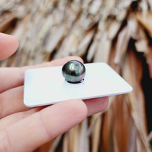 Load image into Gallery viewer, Civa Fiji Loose Saltwater Pearl - FJD$