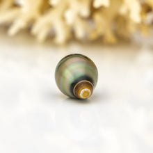 Load image into Gallery viewer, Civa Fiji Loose Saltwater Pearl - FJD$