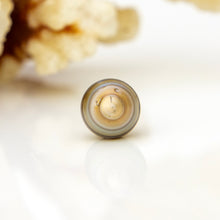 Load image into Gallery viewer, Civa Fiji Loose Saltwater Pearl - FJD$