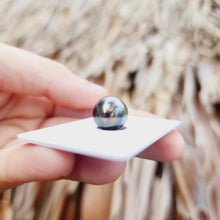 Load image into Gallery viewer, Civa Fiji Loose Saltwater Pearl - FJD$