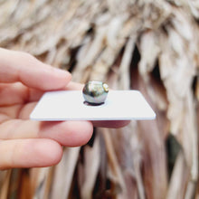 Load image into Gallery viewer, Civa Fiji Loose Saltwater Pearl - FJD$