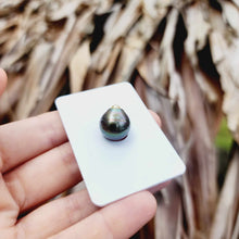 Load image into Gallery viewer, Civa Fiji Loose Saltwater Pearl - FJD$