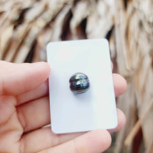 Load image into Gallery viewer, Civa Fiji Loose Saltwater Pearl - FJD$