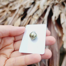 Load image into Gallery viewer, Civa Fiji Loose Saltwater Pearl - FJD$