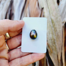 Load image into Gallery viewer, Civa Fiji Loose Saltwater Pearl - FJD$