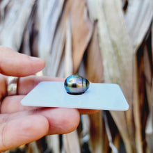 Load image into Gallery viewer, Civa Fiji Loose Saltwater Pearl - FJD$
