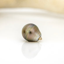 Load image into Gallery viewer, Civa Fiji Loose Saltwater Pearl - FJD$