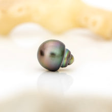 Load image into Gallery viewer, Civa Fiji Loose Saltwater Pearl - FJD$