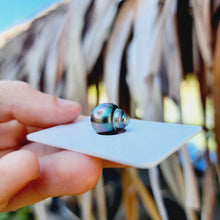 Load image into Gallery viewer, Civa Fiji Loose Saltwater Pearl - FJD$