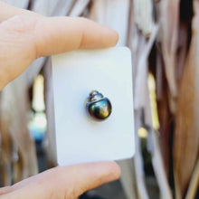 Load image into Gallery viewer, Civa Fiji Loose Saltwater Pearl - FJD$