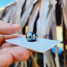 Load image into Gallery viewer, Civa Fiji Loose Saltwater Pearl - FJD$
