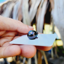 Load image into Gallery viewer, Civa Fiji Loose Saltwater Pearl - FJD$