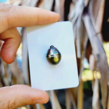 Load image into Gallery viewer, Civa Fiji Loose Saltwater Pearl - FJD$