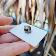 Load image into Gallery viewer, Civa Fiji Loose Saltwater Pearl - FJD$