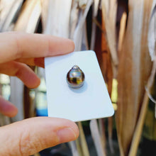 Load image into Gallery viewer, Civa Fiji Loose Saltwater Pearl - FJD$