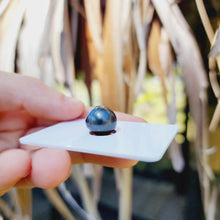 Load image into Gallery viewer, Civa Fiji Loose Saltwater Pearl - FJD$