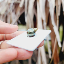 Load image into Gallery viewer, Civa Fiji Loose Saltwater Pearl - FJD$